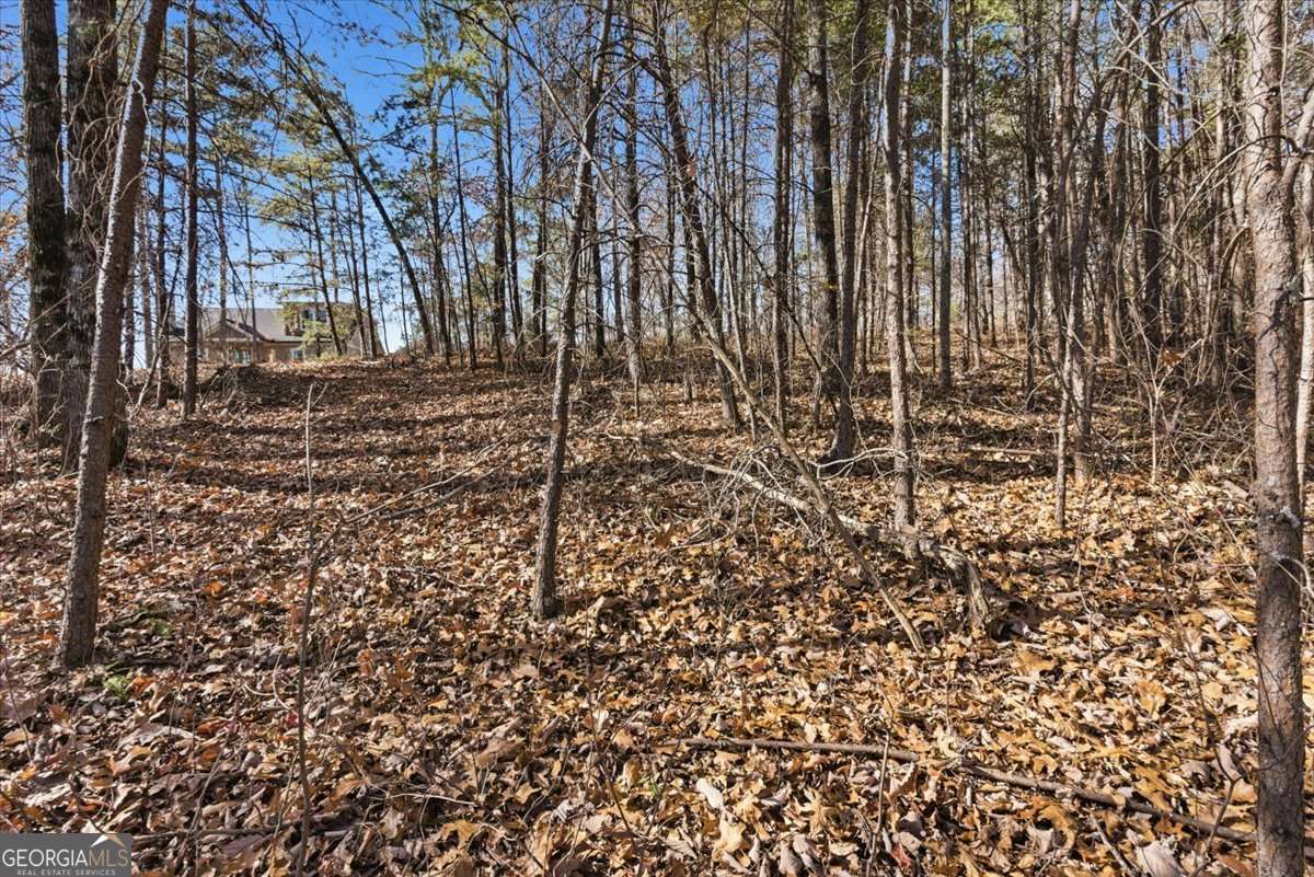 1166 Hunter Drive Ranger GA 30734