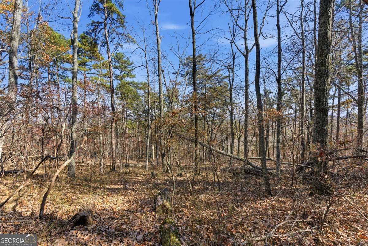 1166 Hunter Drive Ranger GA 30734