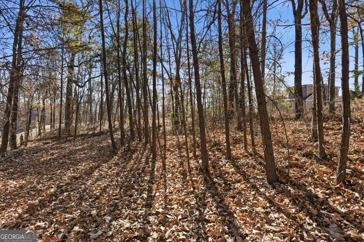 1166 Hunter Drive Ranger GA 30734