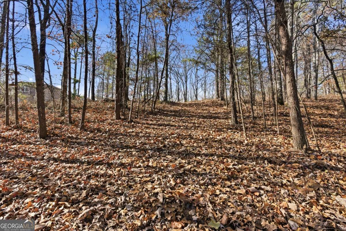 1166 Hunter Drive Ranger GA 30734