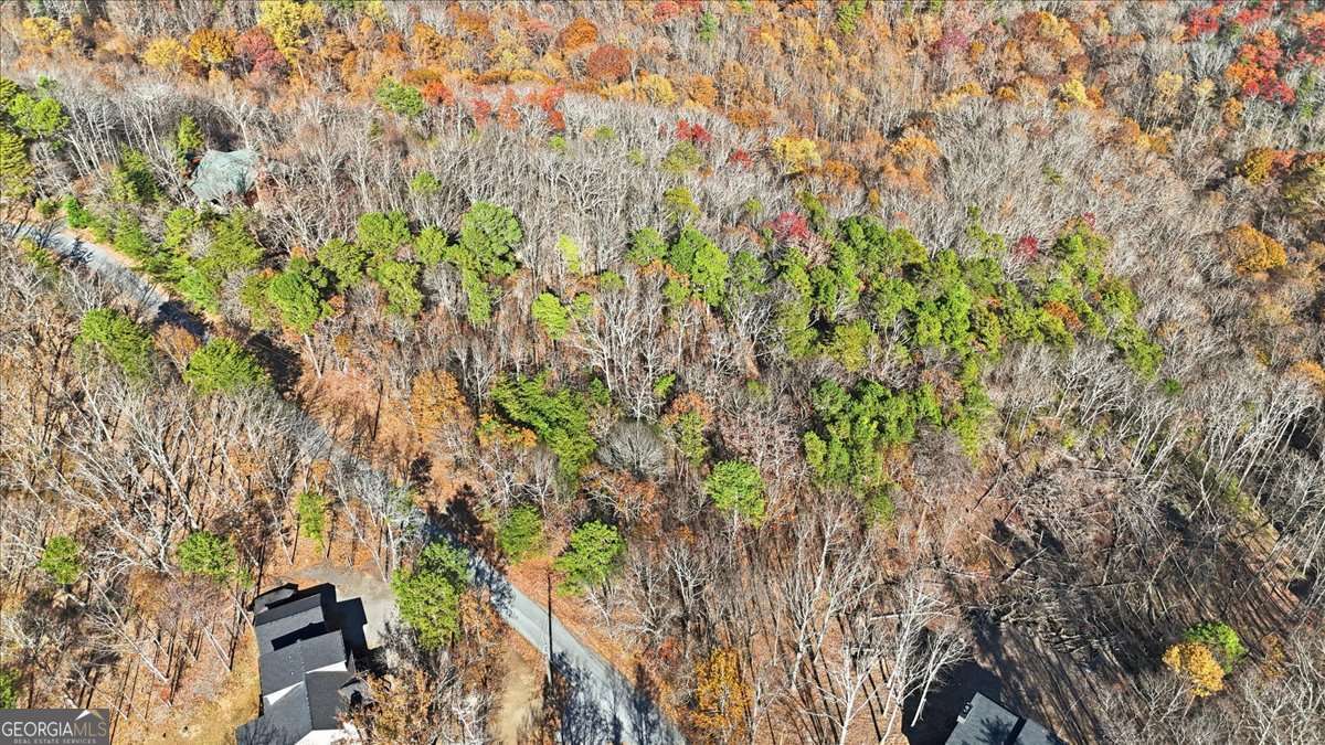 1166 Hunter Drive Ranger GA 30734