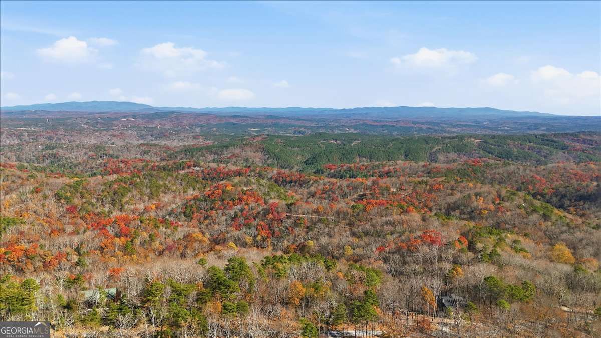 1166 Hunter Drive Ranger GA 30734
