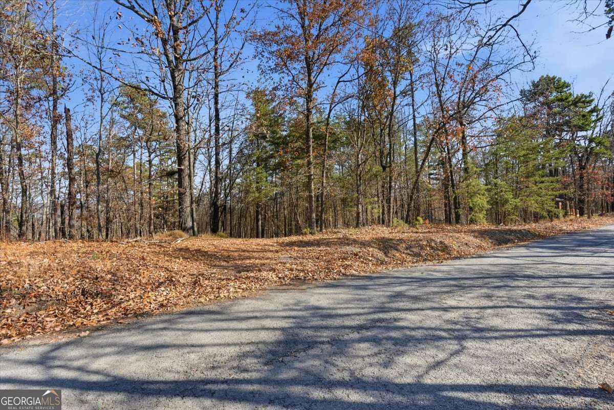 1166 Hunter Drive Ranger GA 30734