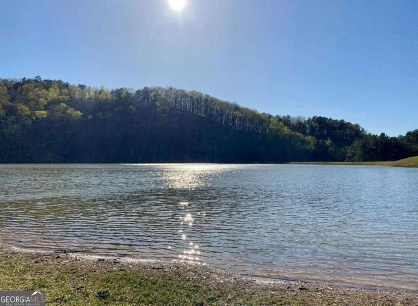 1166 Hunter Drive Ranger GA 30734