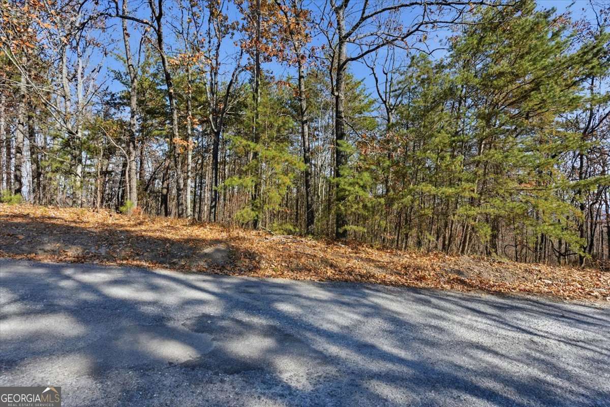 1166 Hunter Drive Ranger GA 30734