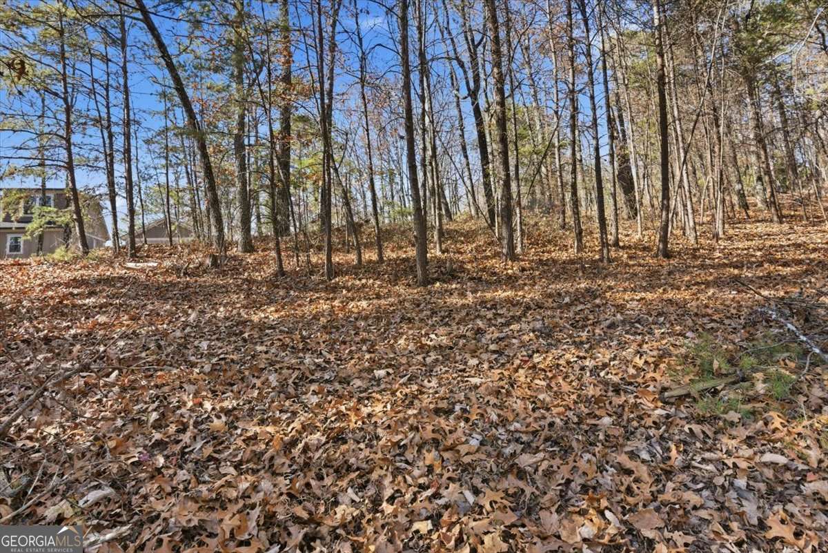1166 Hunter Drive Ranger GA 30734