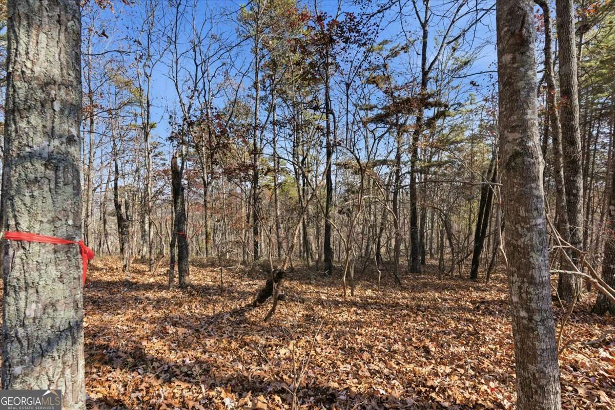 1166 Hunter Drive Ranger GA 30734