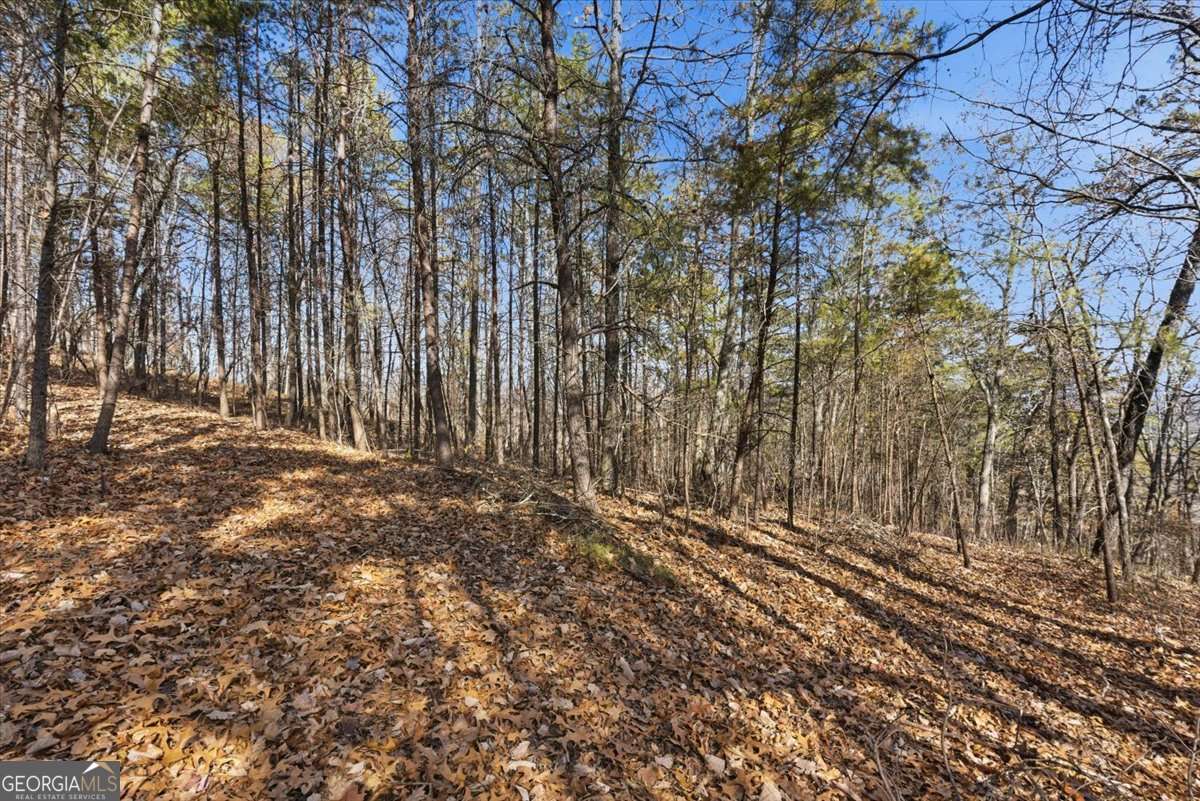 1166 Hunter Drive Ranger GA 30734