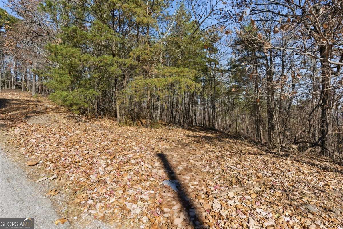 1166 Hunter Drive Ranger GA 30734