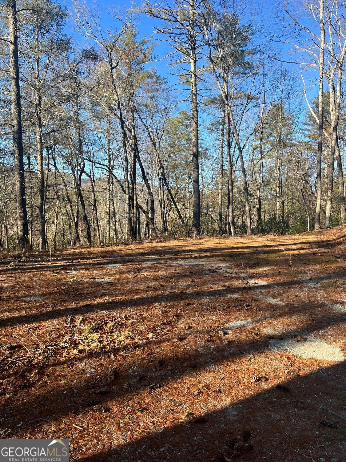 0 Sylvan Lake Drive Rabun Gap GA 30568