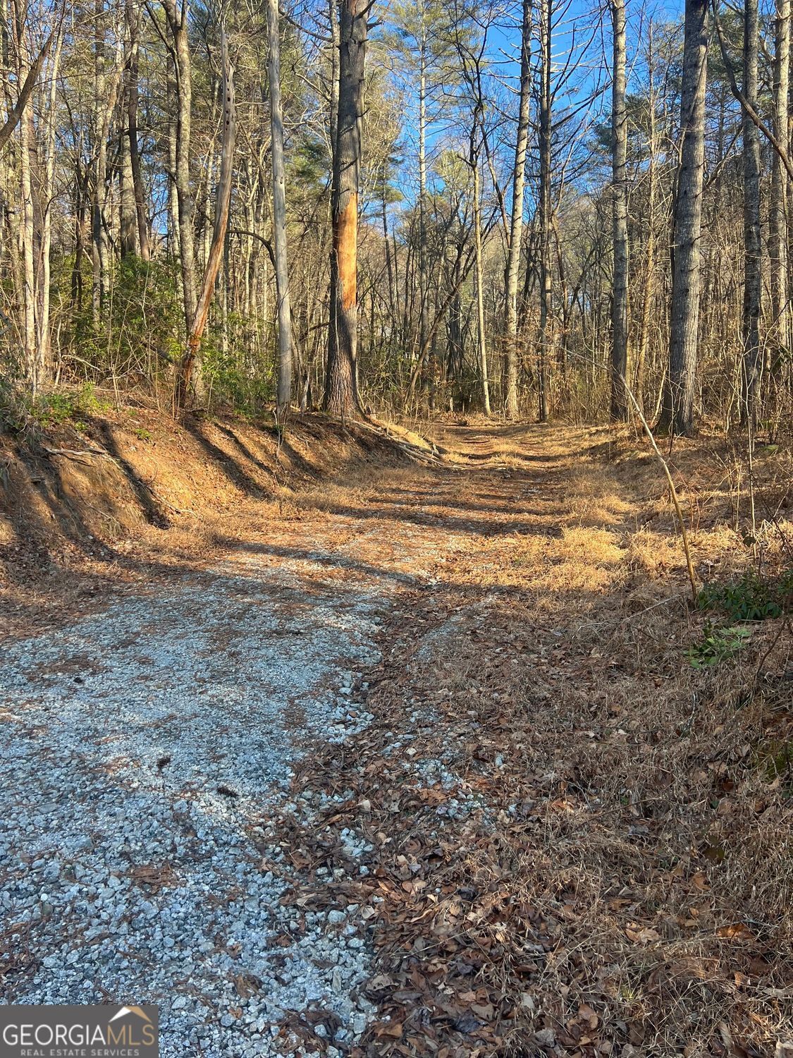 0 Sylvan Lake Drive Rabun Gap GA 30568