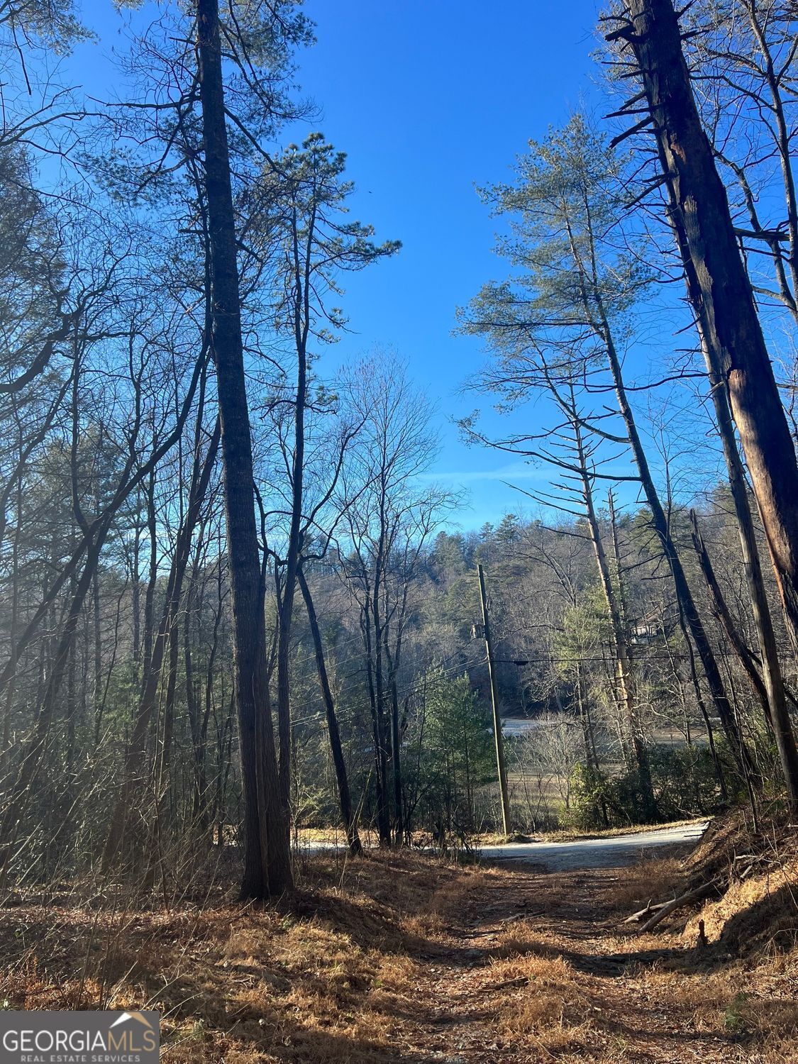 0 Sylvan Lake Drive Rabun Gap GA 30568