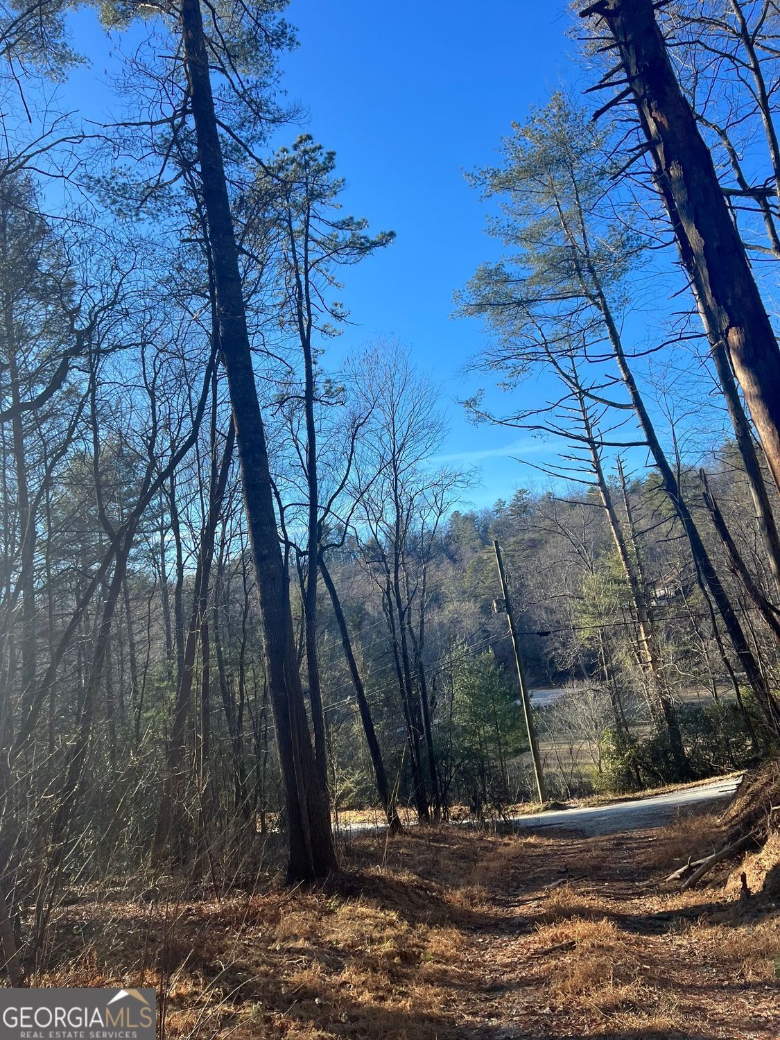 0 Sylvan Lake Drive Rabun Gap GA 30568