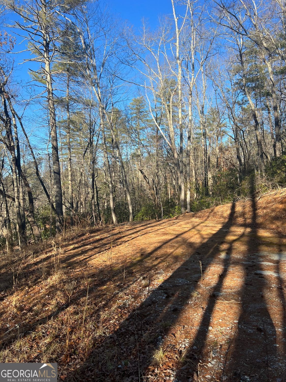 0 Sylvan Lake Drive Rabun Gap GA 30568