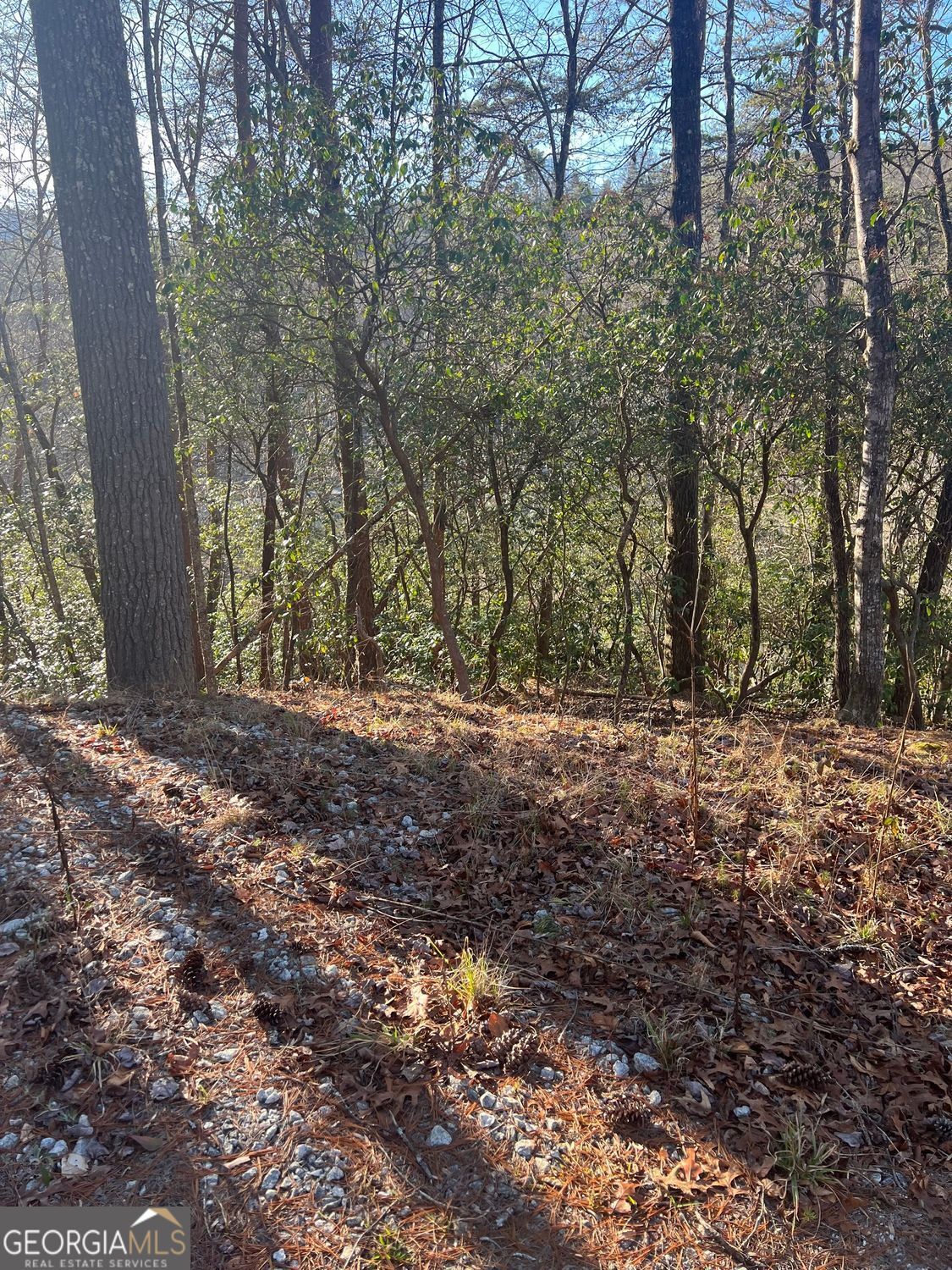0 Sylvan Lake Drive Rabun Gap GA 30568