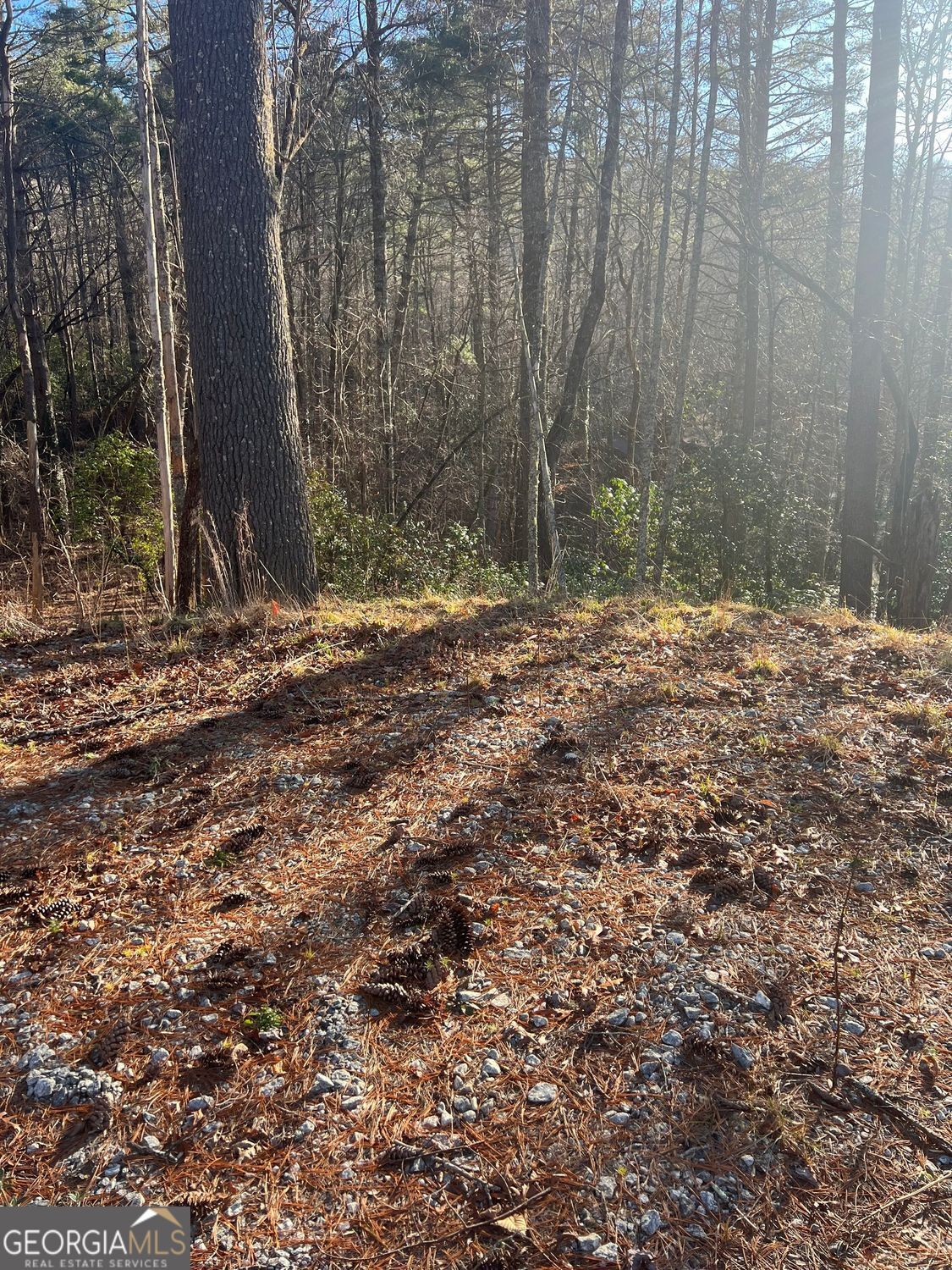 0 Sylvan Lake Drive Rabun Gap GA 30568