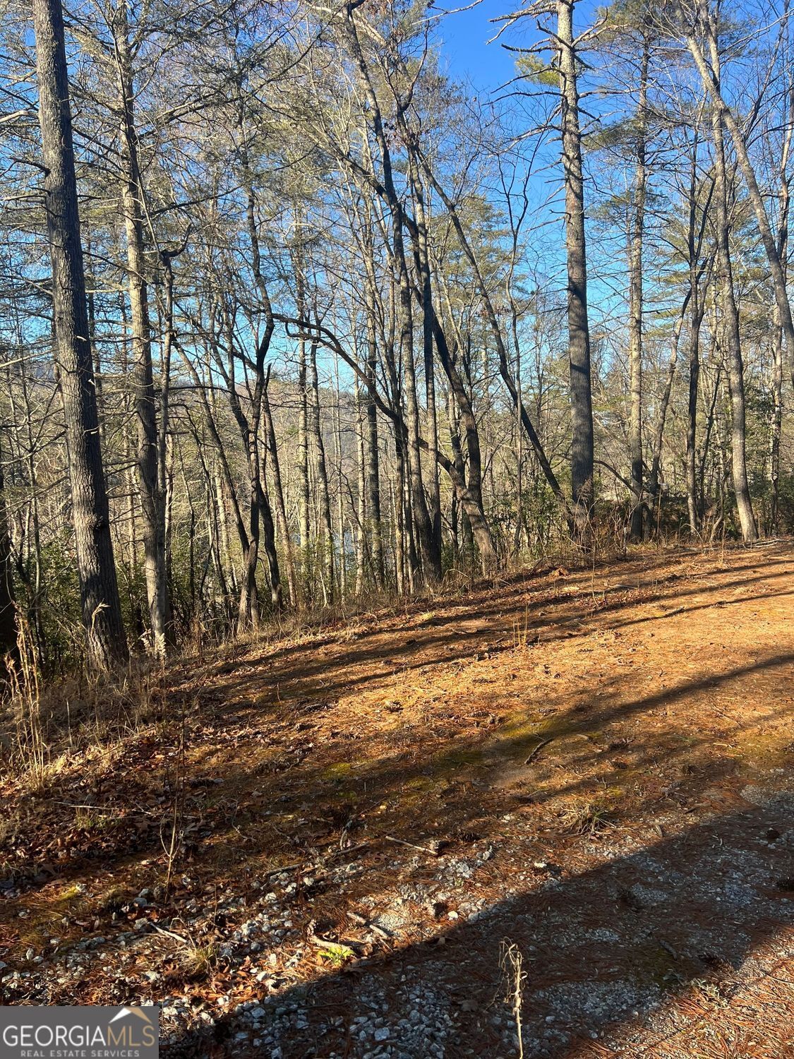 0 Sylvan Lake Drive Rabun Gap GA 30568