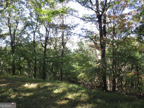 Lot 54 High Cliff Road Jasper GA 30143