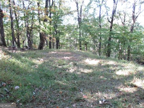 Lot 54 High Cliff Road Jasper GA 30143