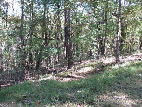 Lot 54 High Cliff Road Jasper GA 30143