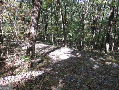 Lot 54 High Cliff Road Jasper GA 30143