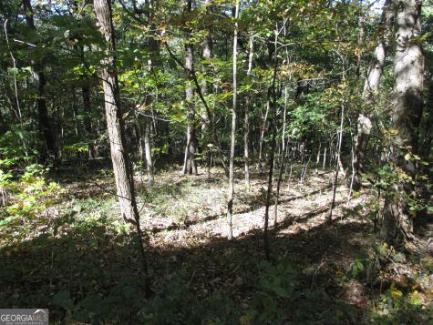 Lot 54 High Cliff Road Jasper GA 30143