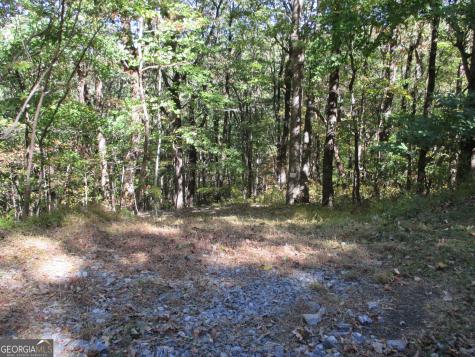 Lot 54 High Cliff Road Jasper GA 30143
