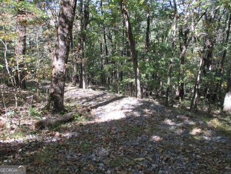 Lot 54 High Cliff Road Jasper GA 30143