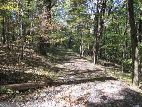 Lot 54 High Cliff Road Jasper GA 30143