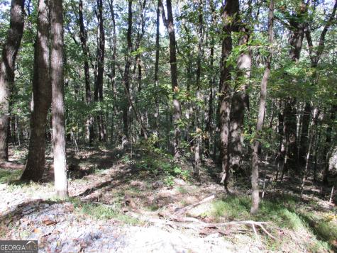 Lot 54 High Cliff Road Jasper GA 30143