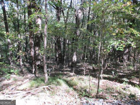 Lot 54 High Cliff Road Jasper GA 30143