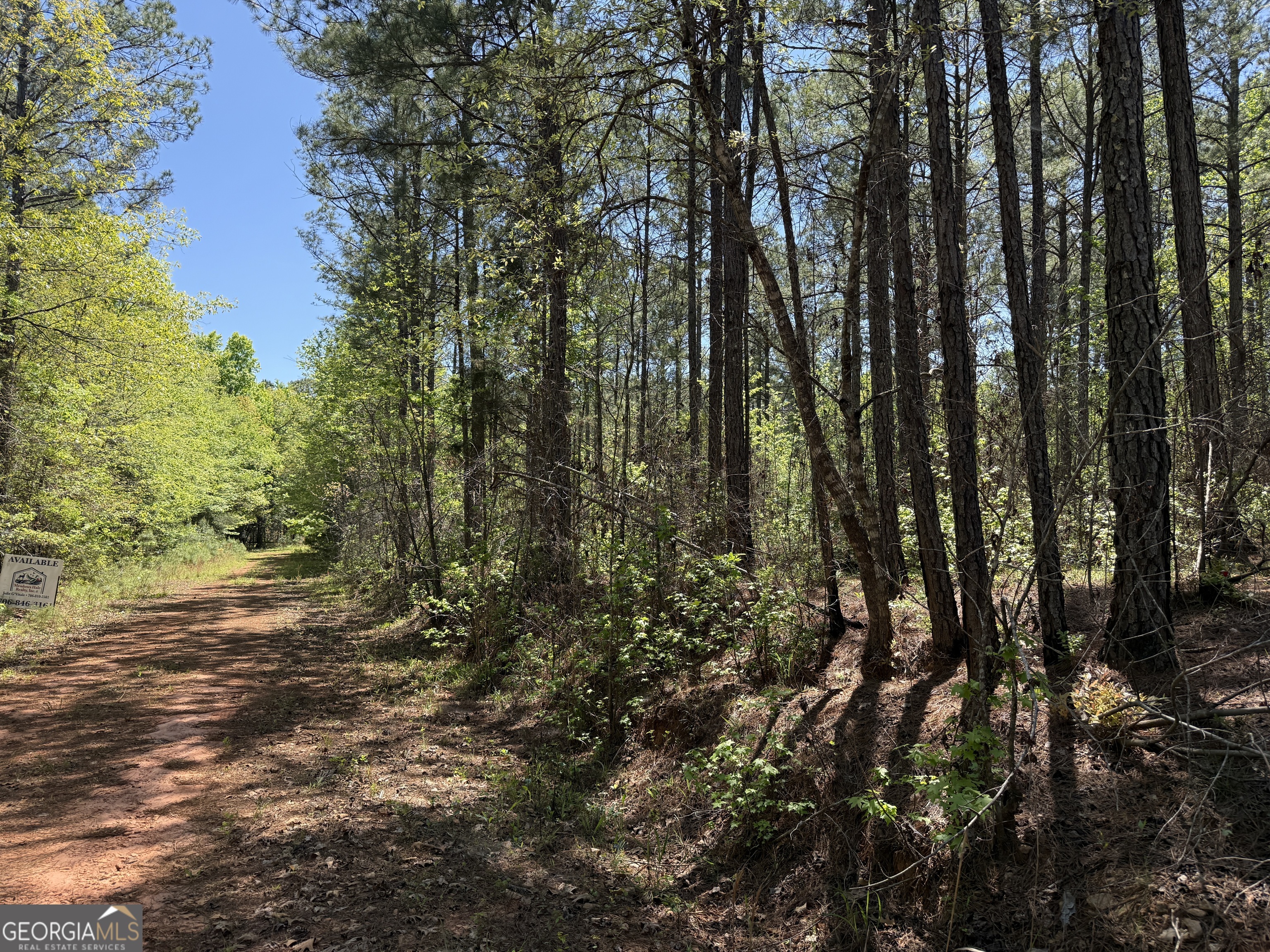 19.74 Acres Davis Lake Road Pine Mountain GA 31822