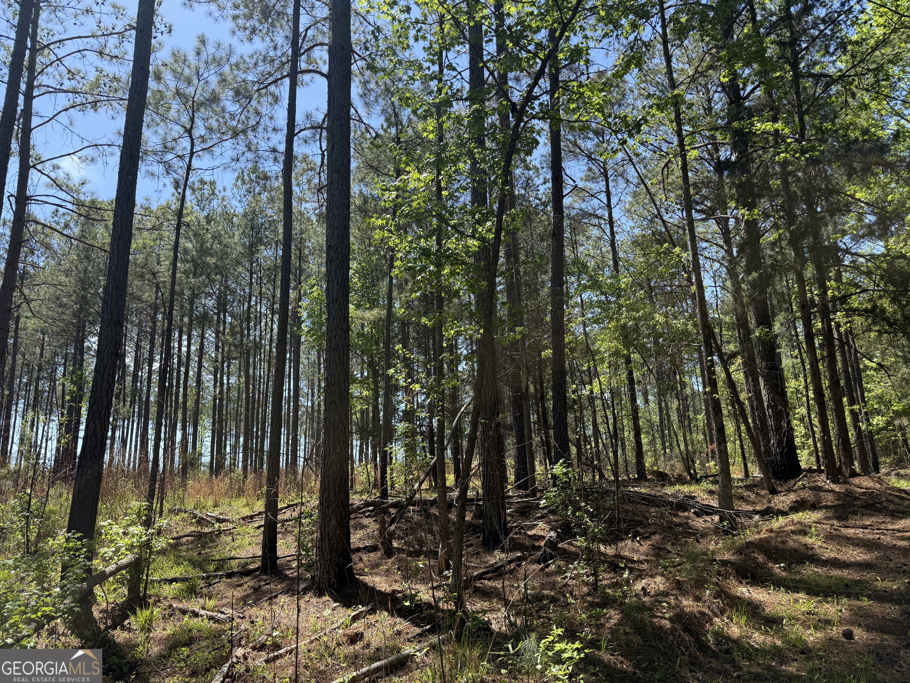 19.74 Acres Davis Lake Road Pine Mountain GA 31822