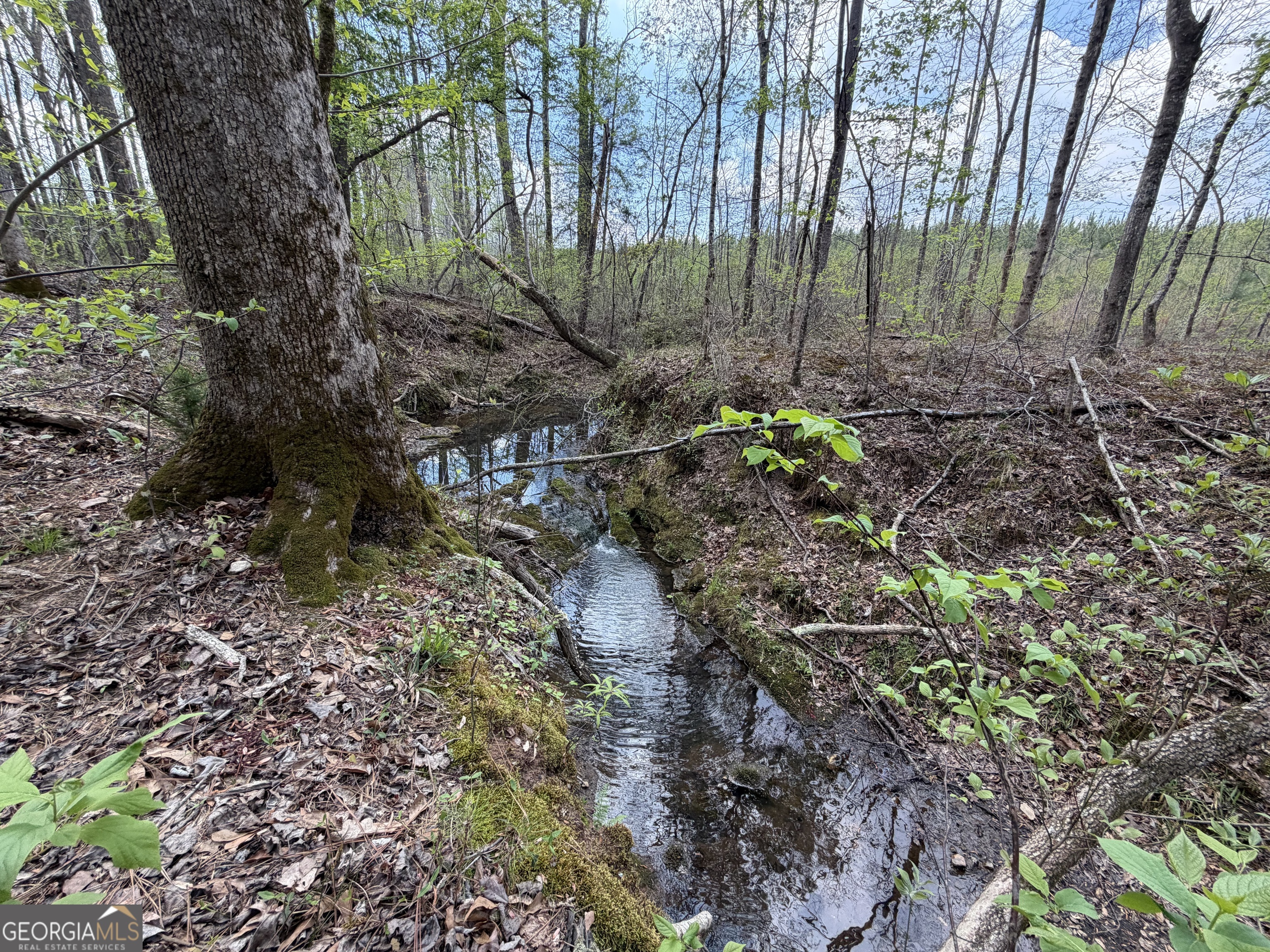 19.74 Acres Davis Lake Road Pine Mountain GA 31822