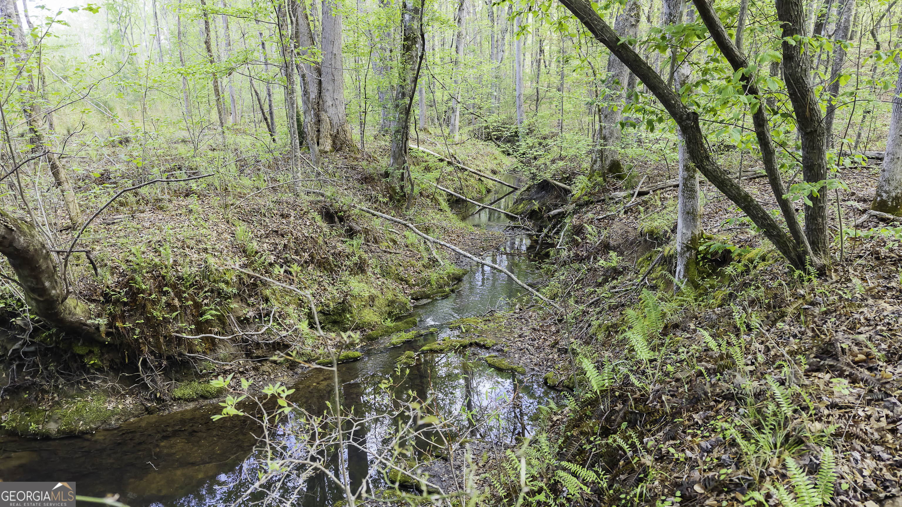 19.74 Acres Davis Lake Road Pine Mountain GA 31822