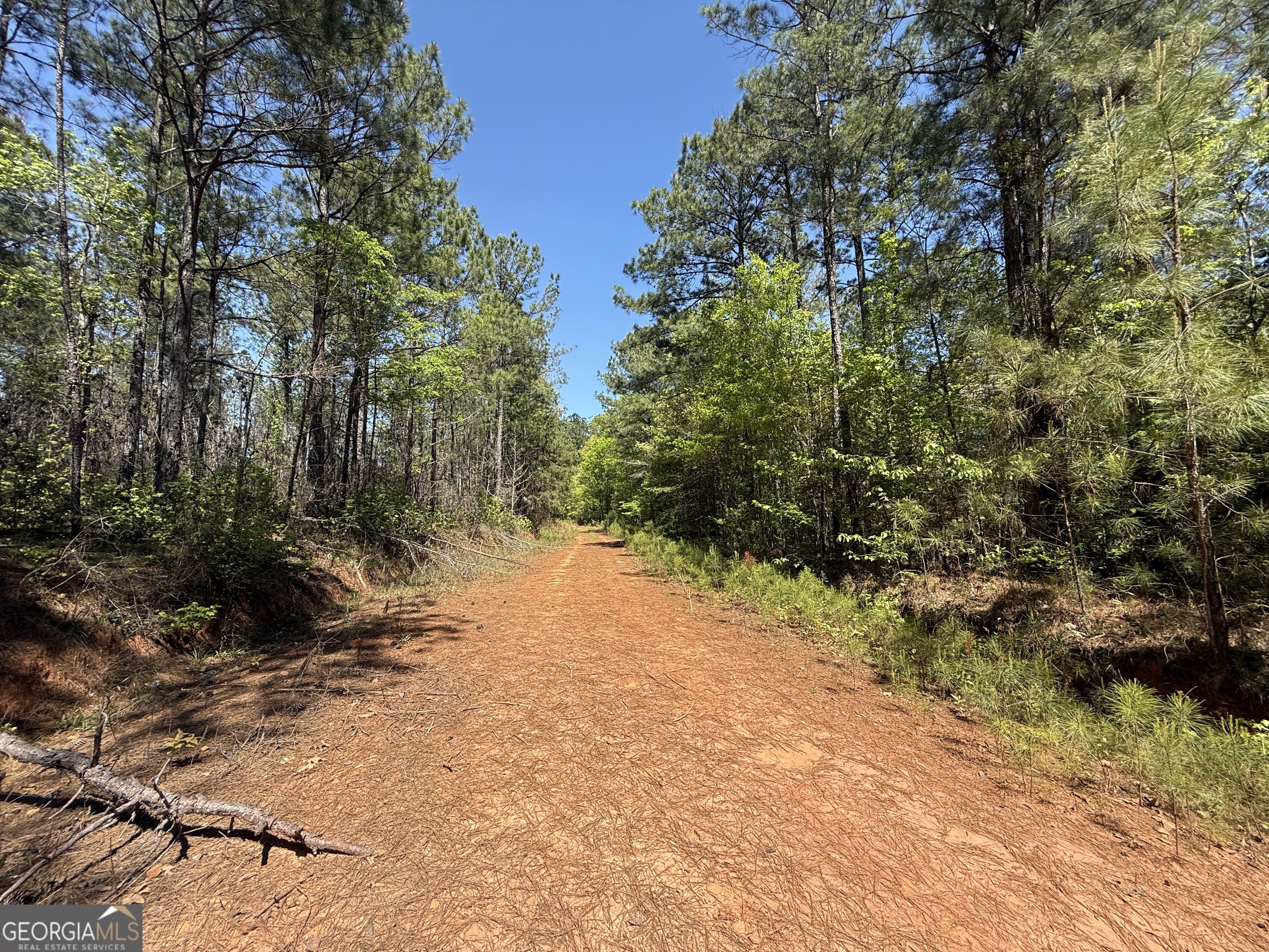 19.74 Acres Davis Lake Road Pine Mountain GA 31822