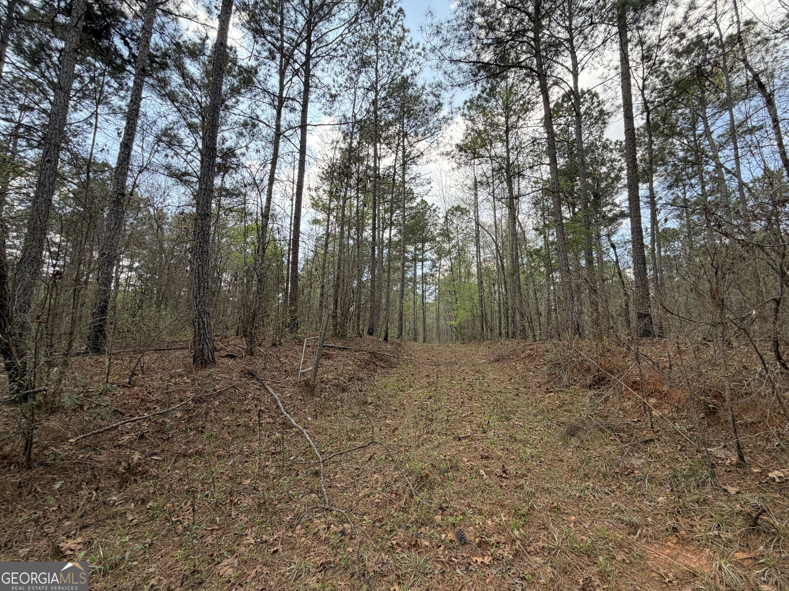 19.74 Acres Davis Lake Road Pine Mountain GA 31822