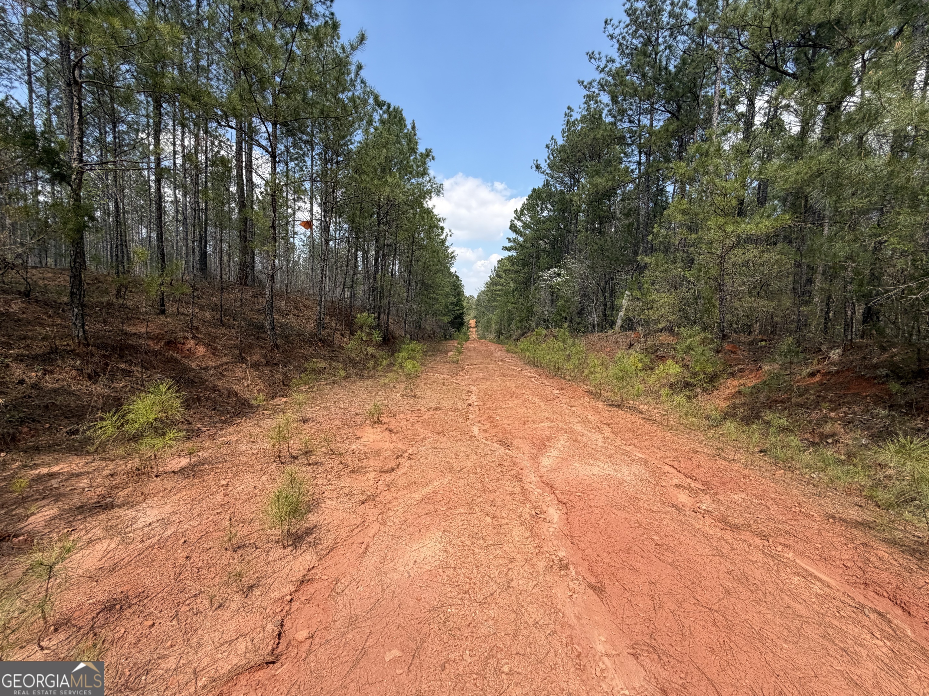 19.74 Acres Davis Lake Road Pine Mountain GA 31822
