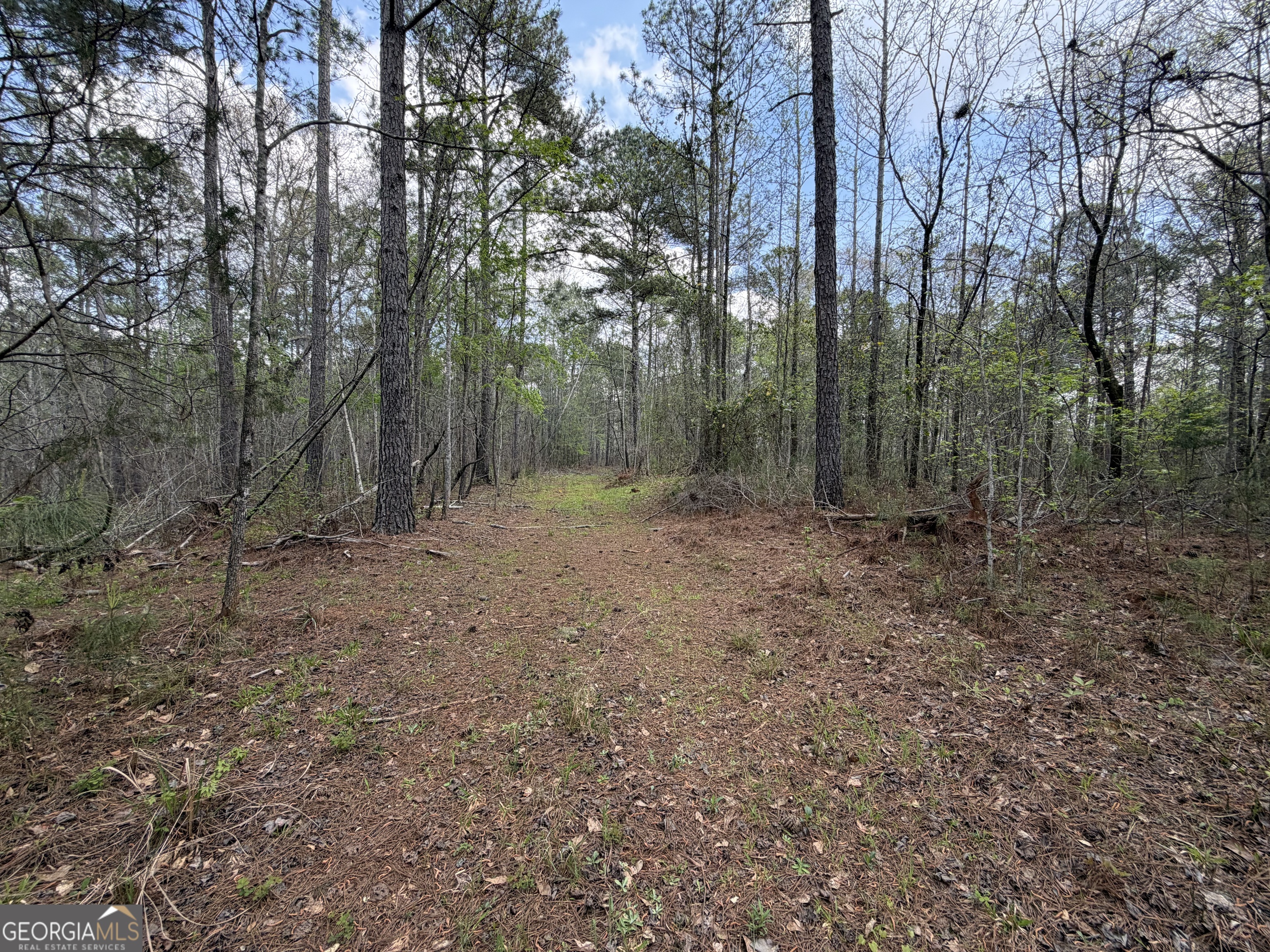 19.74 Acres Davis Lake Road Pine Mountain GA 31822