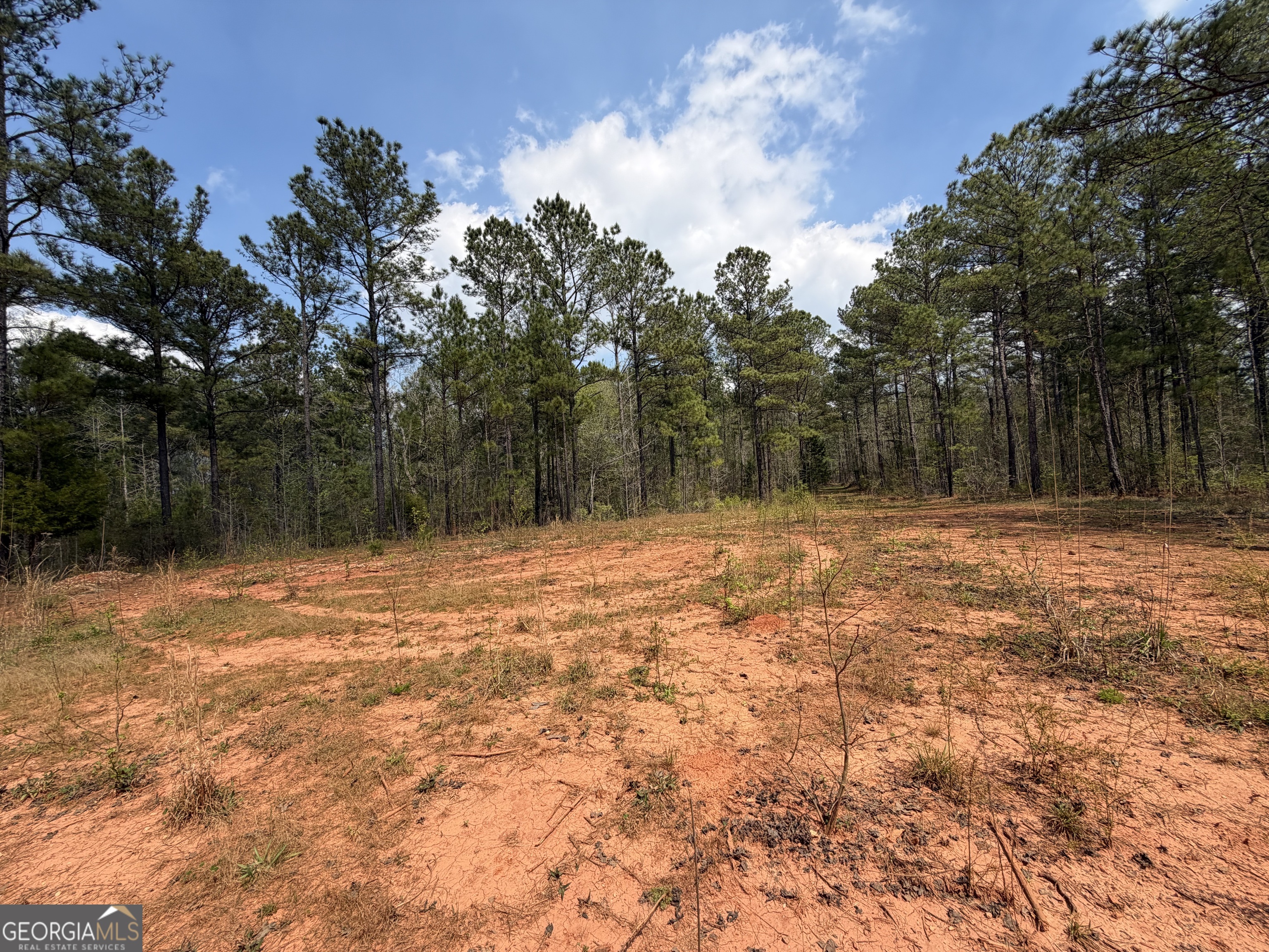 19.74 Acres Davis Lake Road Pine Mountain GA 31822