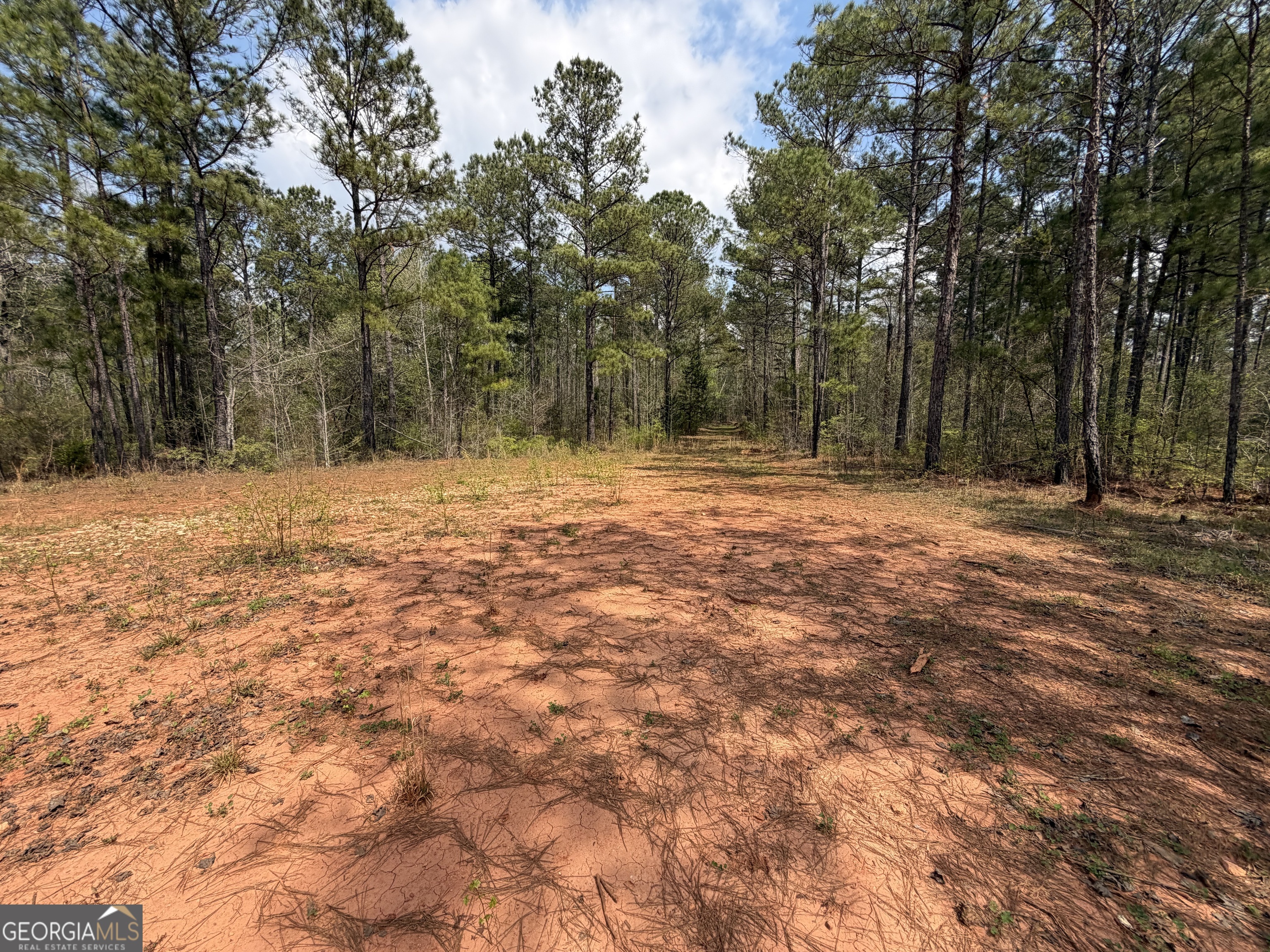 19.74 Acres Davis Lake Road Pine Mountain GA 31822