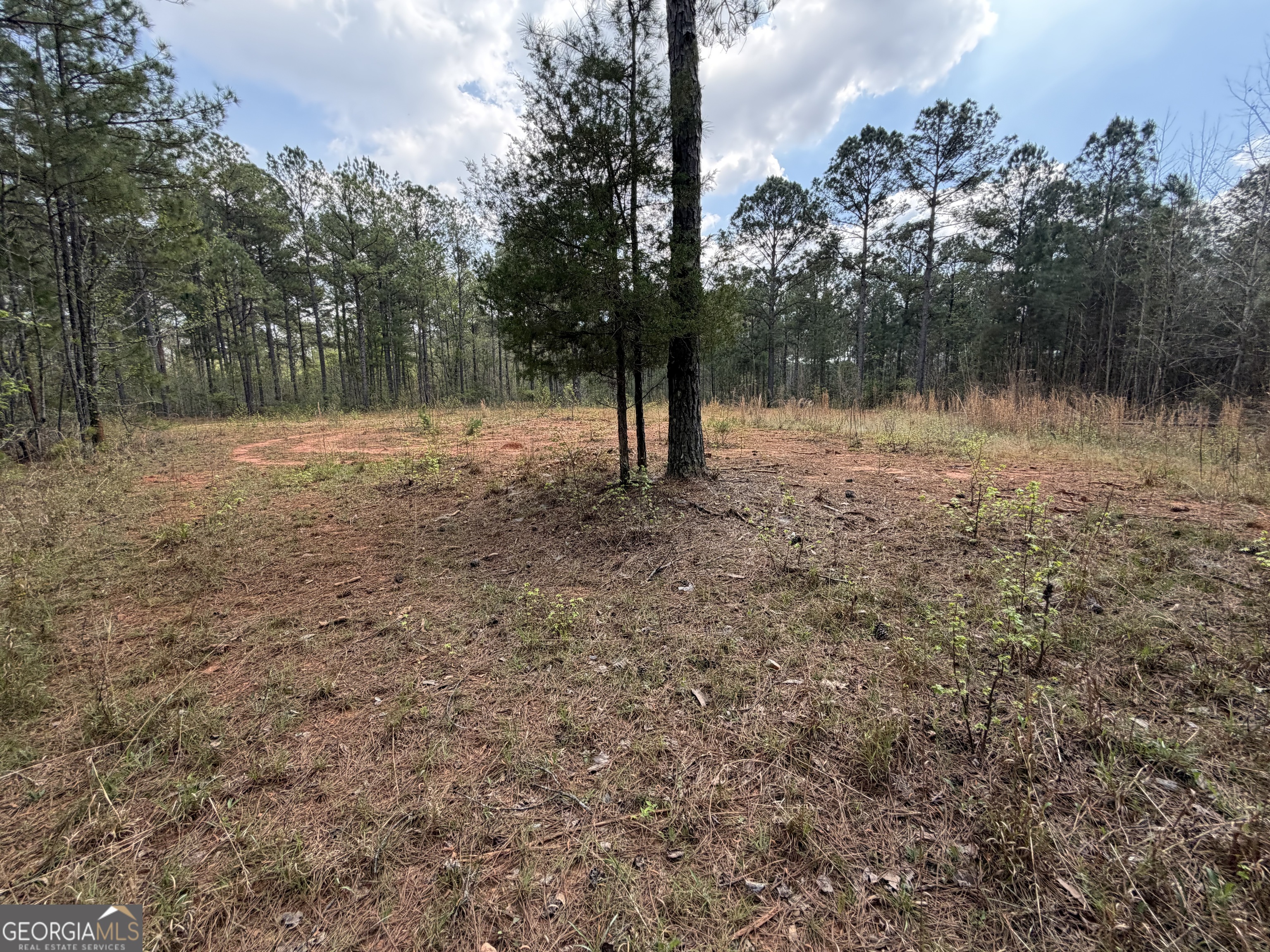 19.74 Acres Davis Lake Road Pine Mountain GA 31822