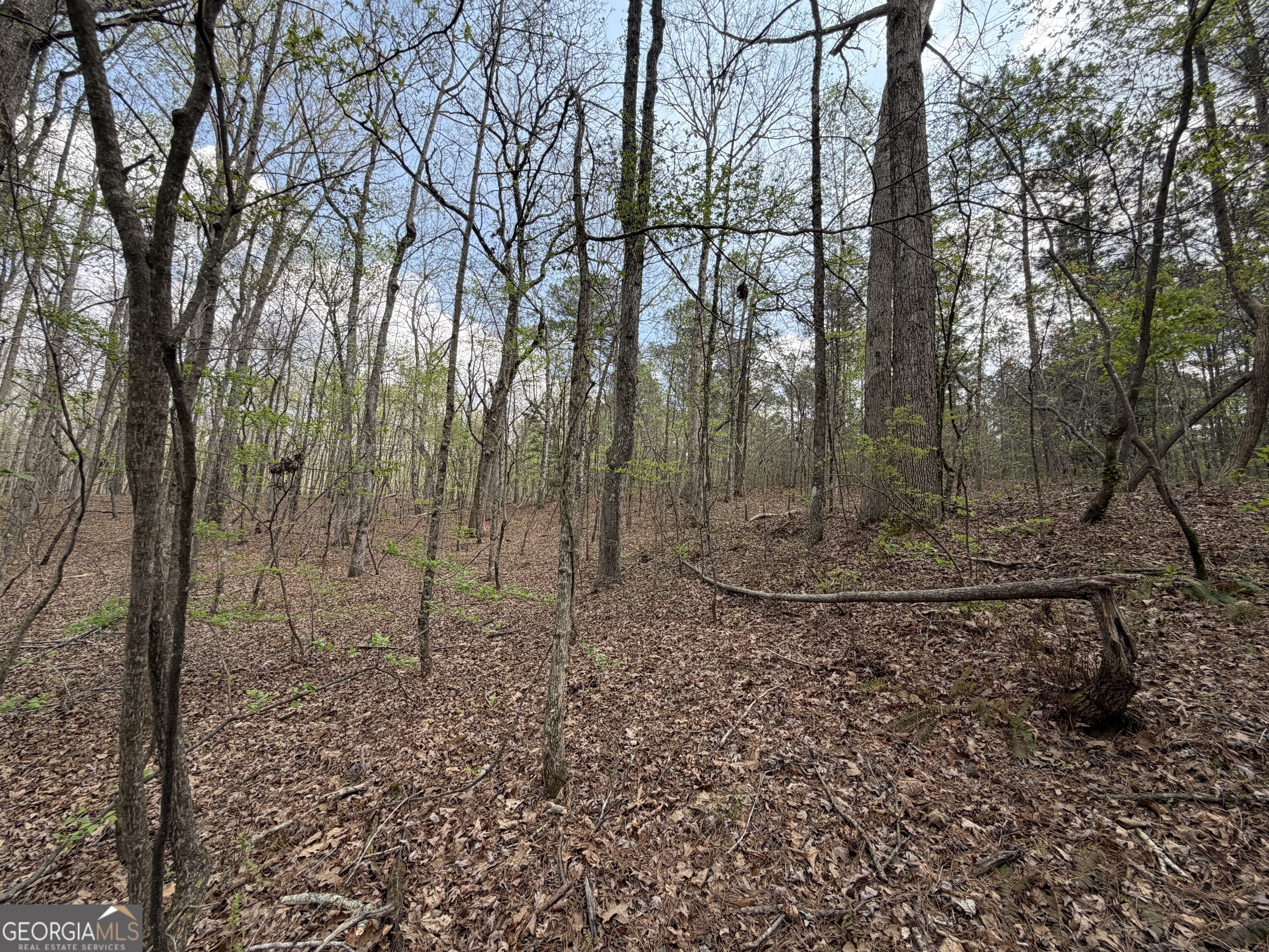 19.74 Acres Davis Lake Road Pine Mountain GA 31822