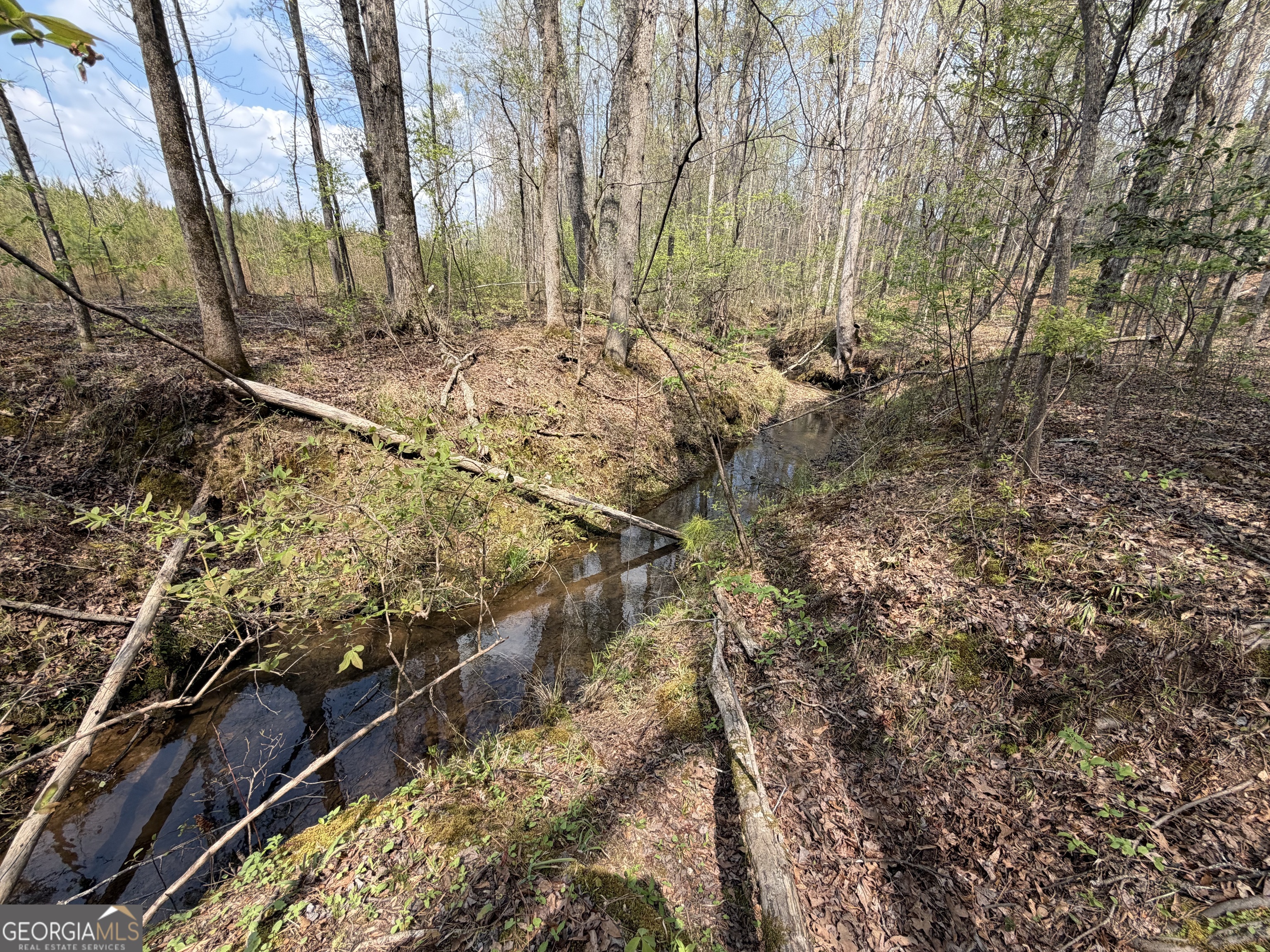 19.74 Acres Davis Lake Road Pine Mountain GA 31822