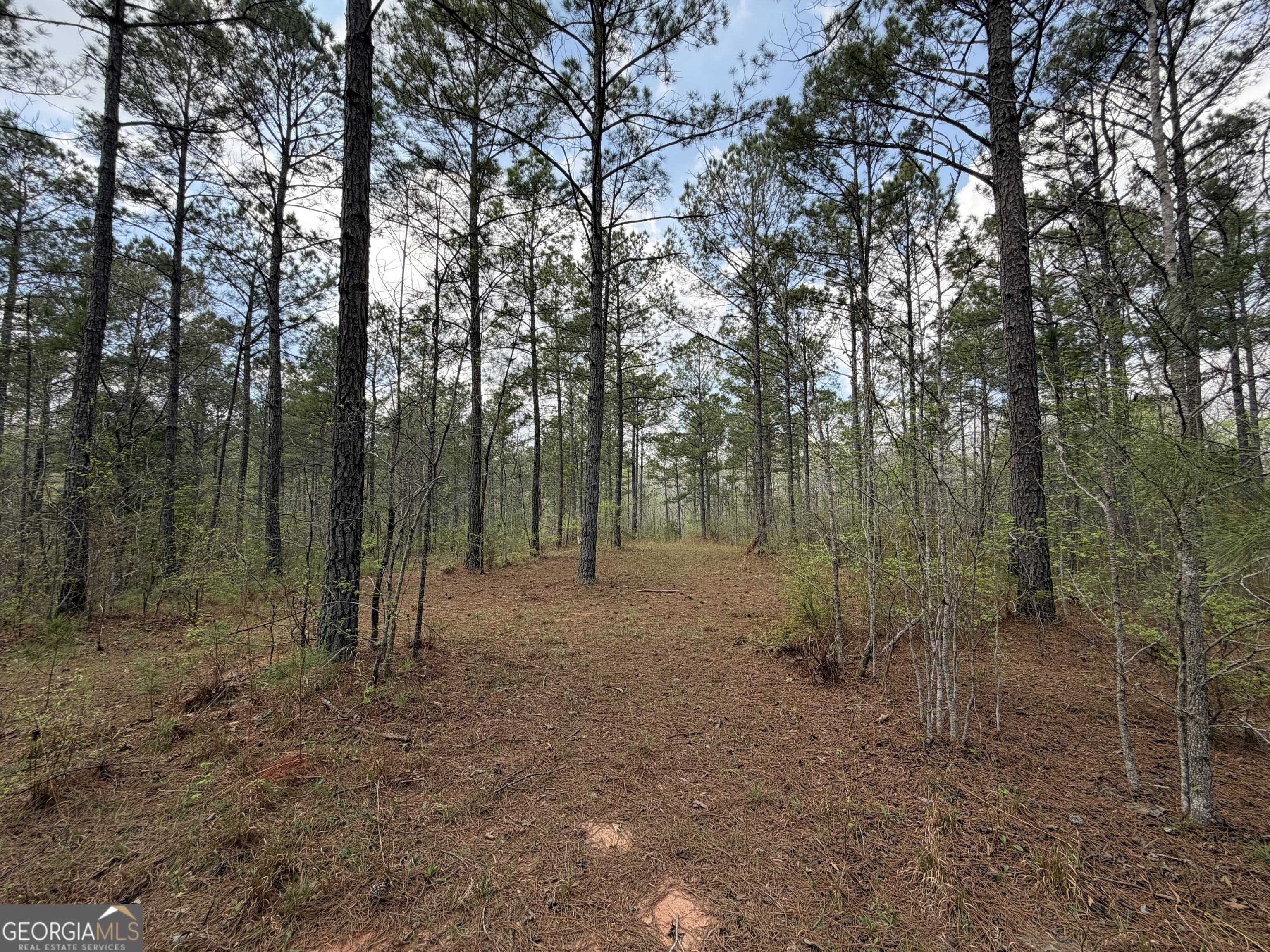 19.74 Acres Davis Lake Road Pine Mountain GA 31822