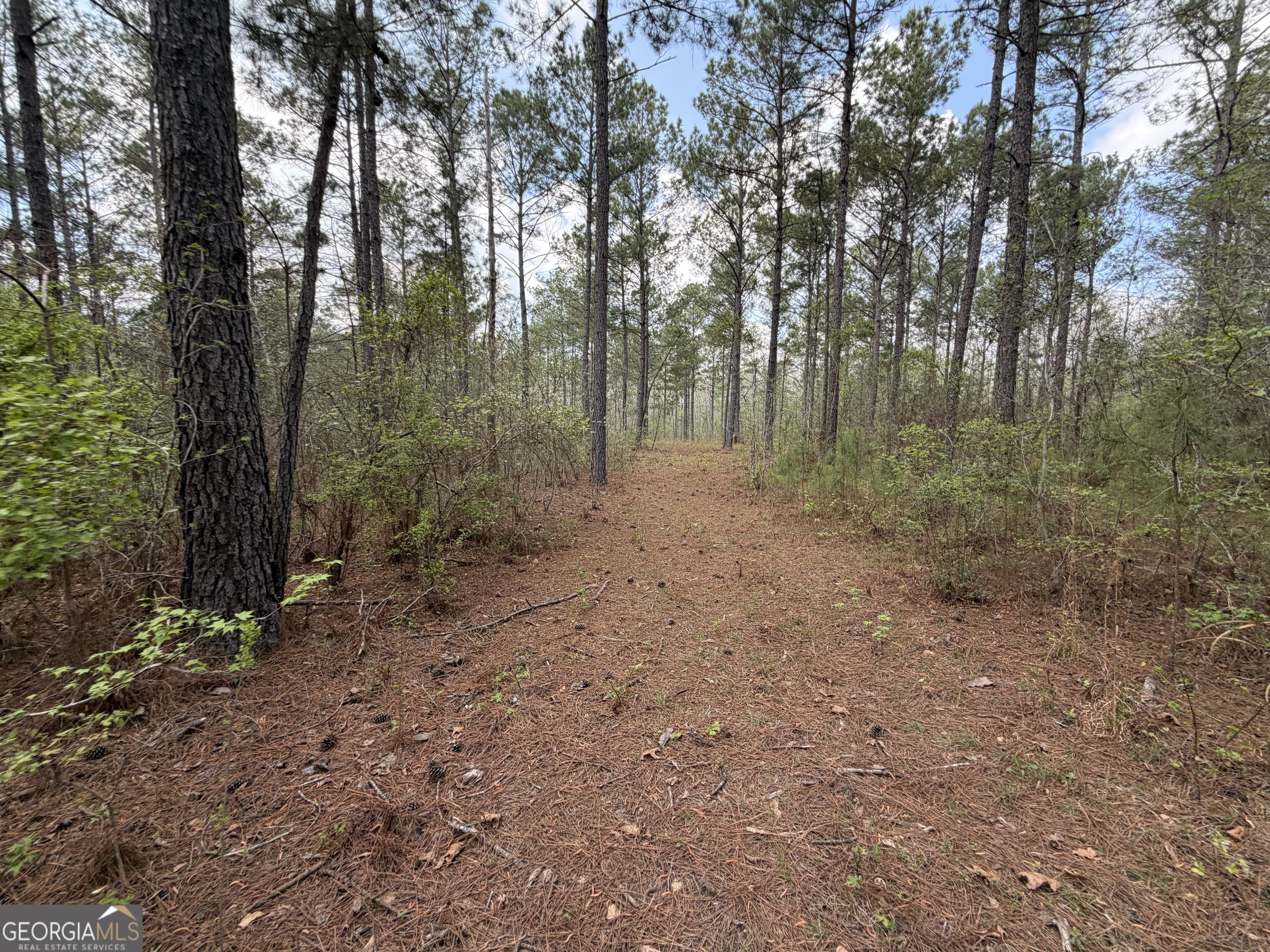 19.74 Acres Davis Lake Road Pine Mountain GA 31822