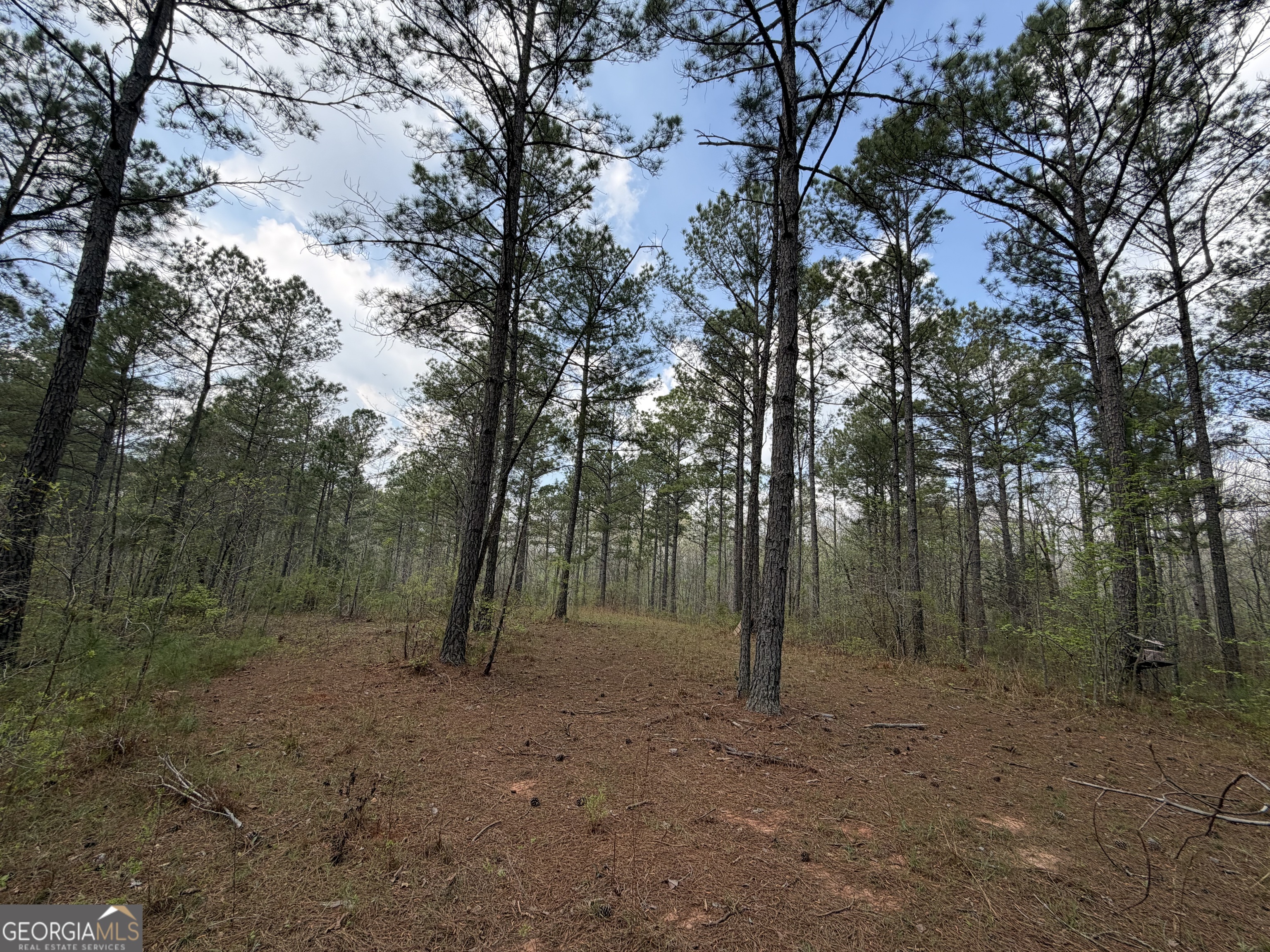 19.74 Acres Davis Lake Road Pine Mountain GA 31822