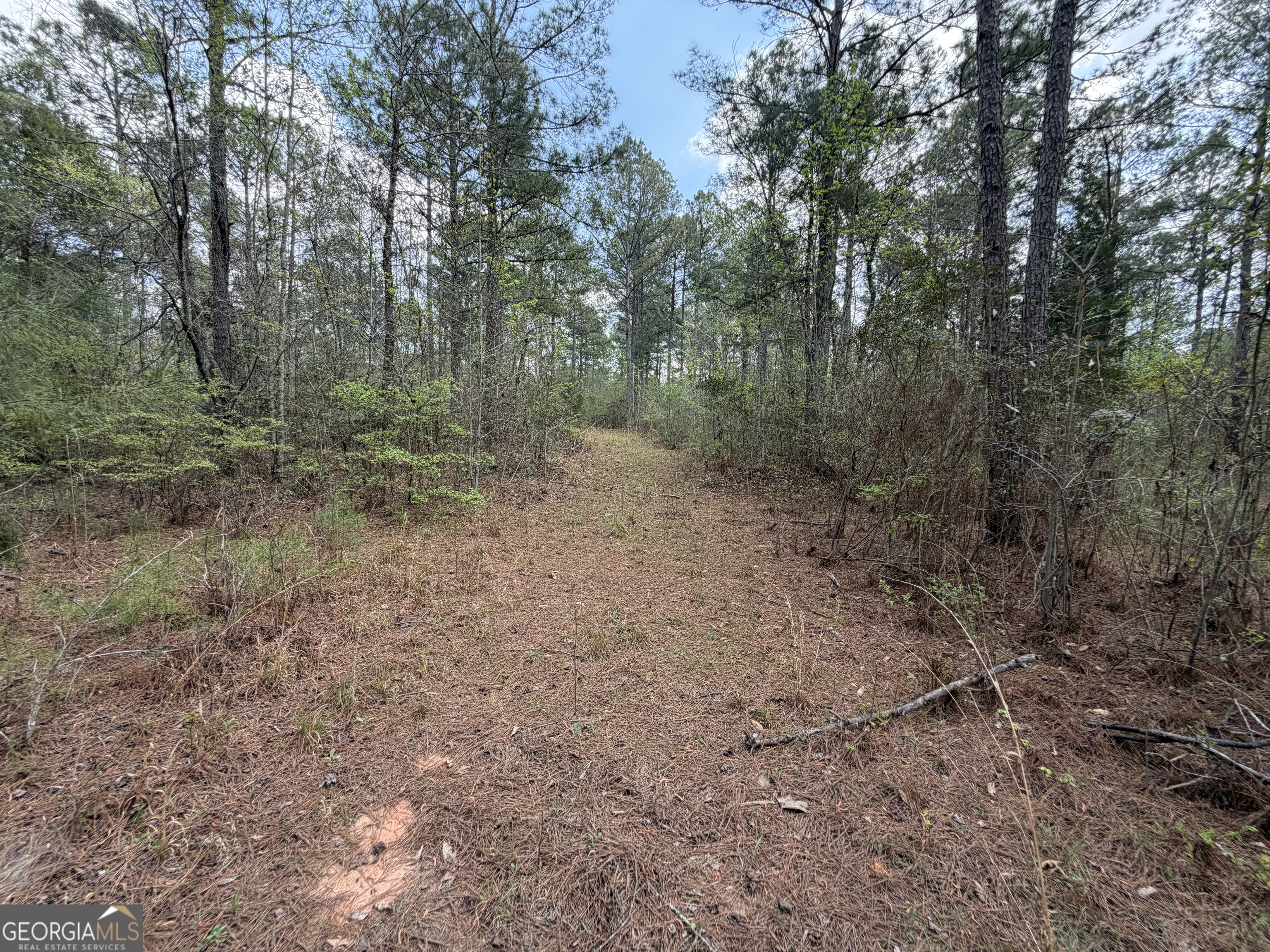 19.74 Acres Davis Lake Road Pine Mountain GA 31822
