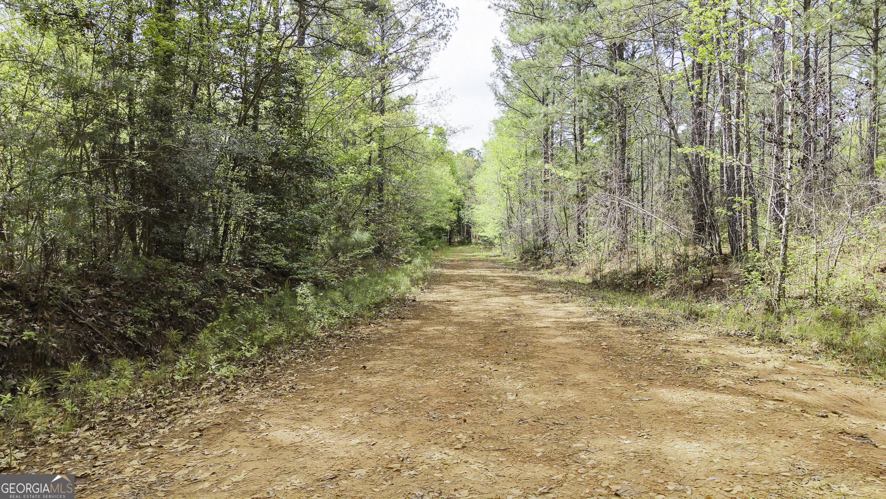 19.74 Acres Davis Lake Road Pine Mountain GA 31822