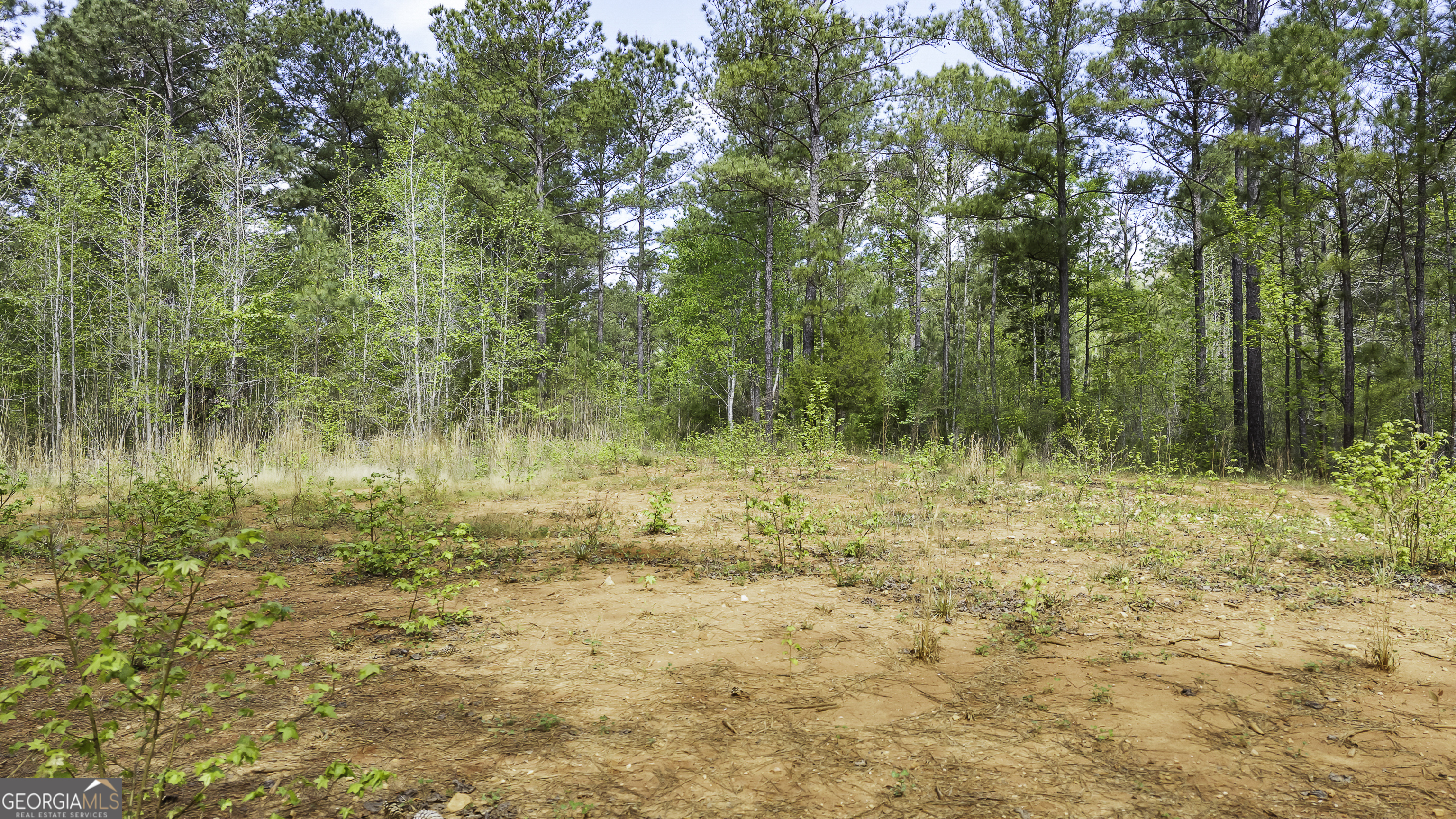19.74 Acres Davis Lake Road Pine Mountain GA 31822